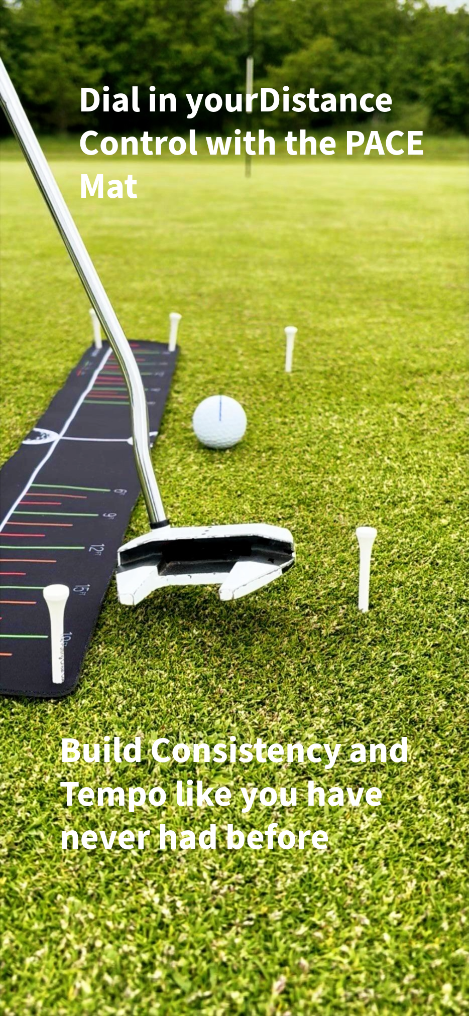 The Putting Cheat Code - Full Bundle